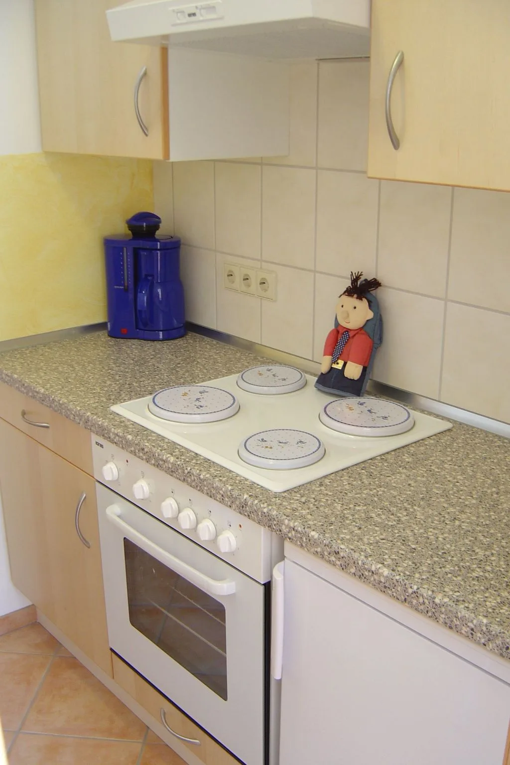 Appartement mit Terrasse in Germany
