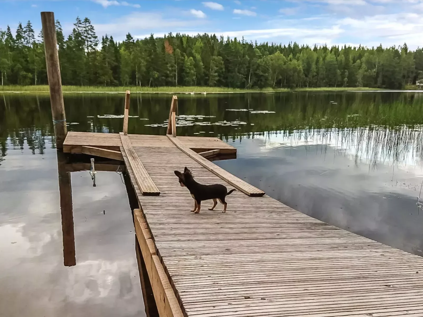 Virransivu in Finland