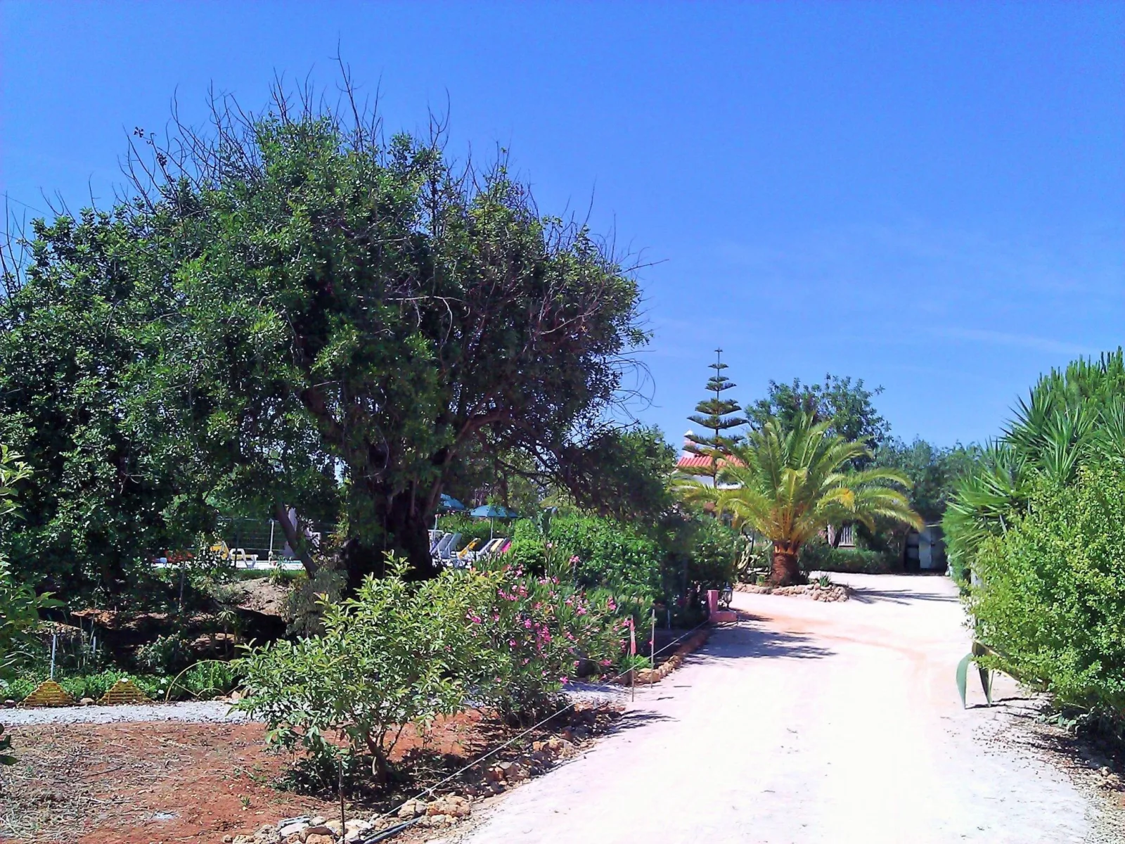 Maison de vacances "Quinta Casalinho" in Portugal