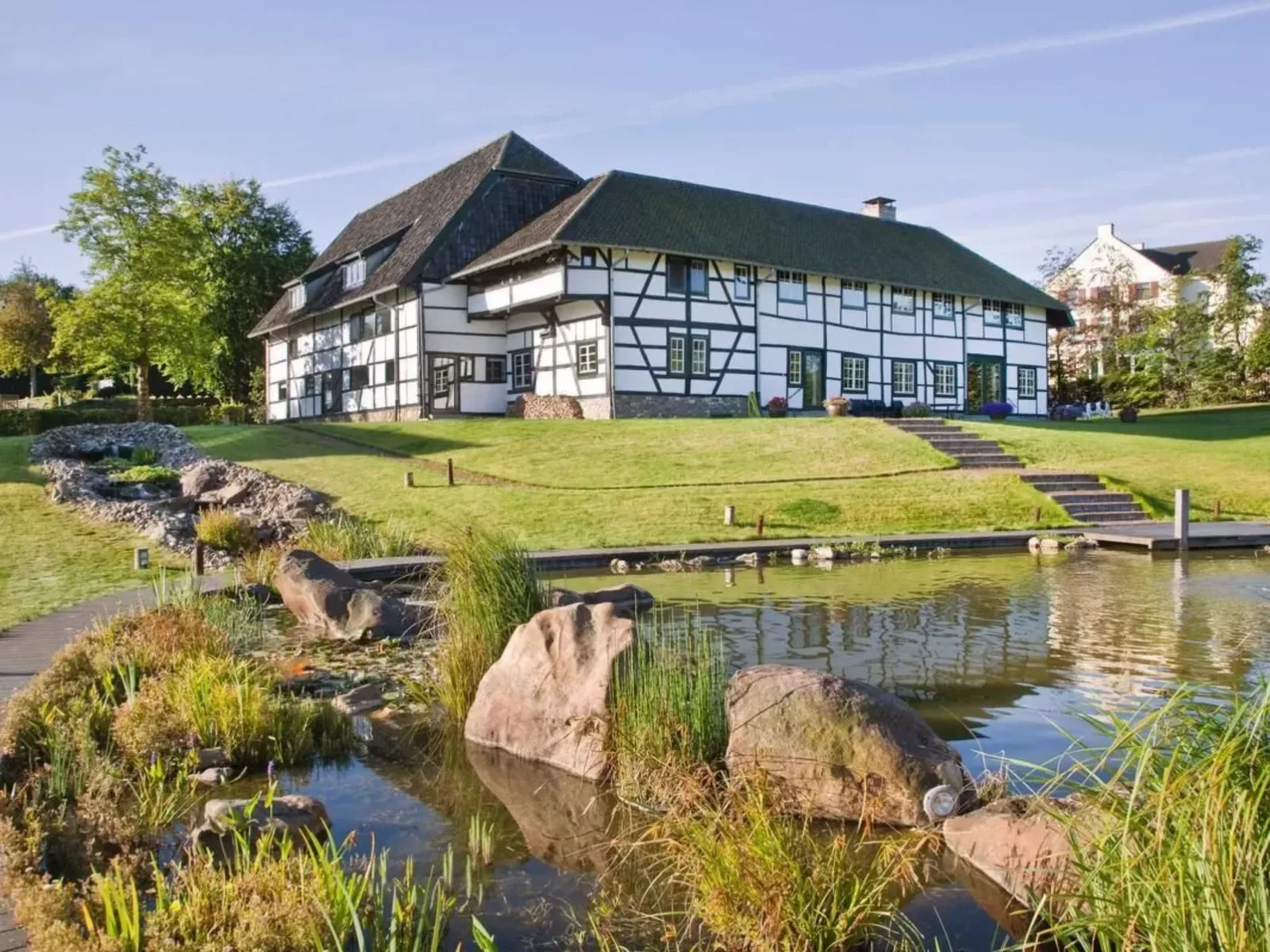 A gen beuke in Netherlands