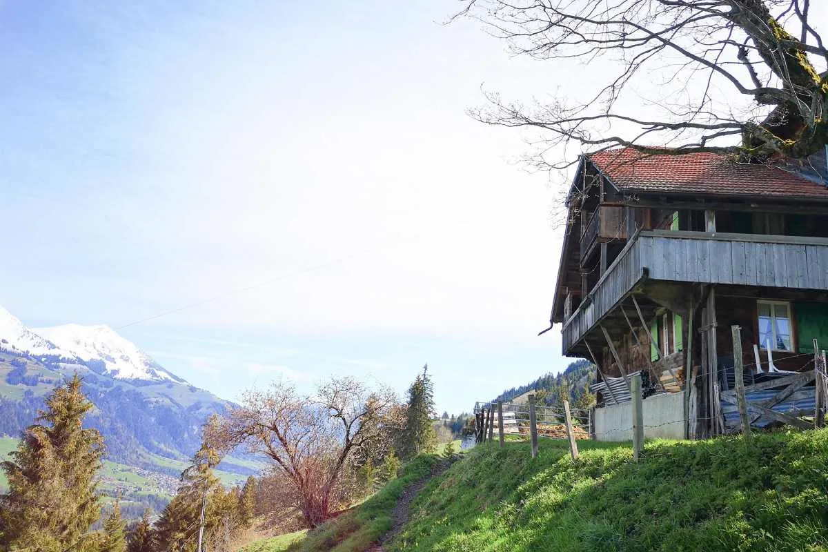 Weidhütte Wegscheide